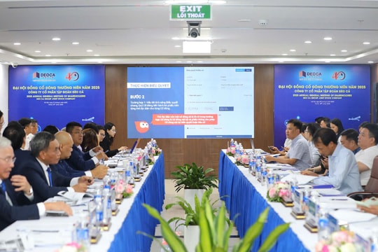 Công ty cổ phần Tập đoàn Đèo Cả: Tăng trưởng 46% doanh thu, lợi nhuận 2024 vượt 14%