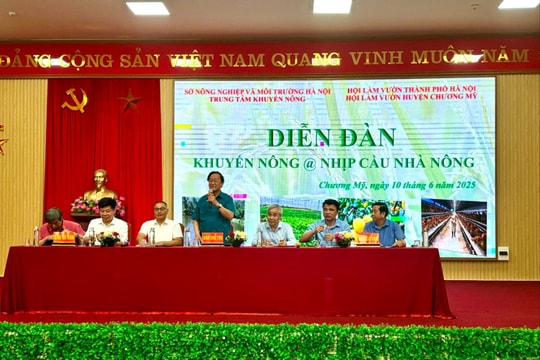 Nâng cao hiệu quả kinh tế hướng tới phát triển nông nghiệp theo hướng bền vững