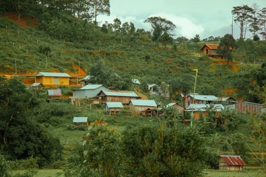 Phê duyệt chủ trương xây dựng mô hình bảo tàng sinh thái