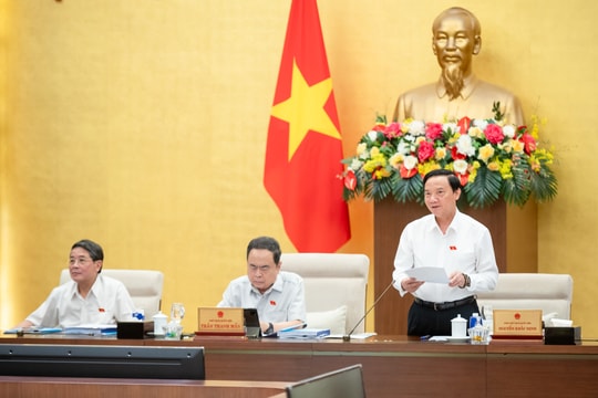 Cho ý kiến về dự thảo Luật sửa đổi, bổ sung một số điều của Bộ luật Hình sự