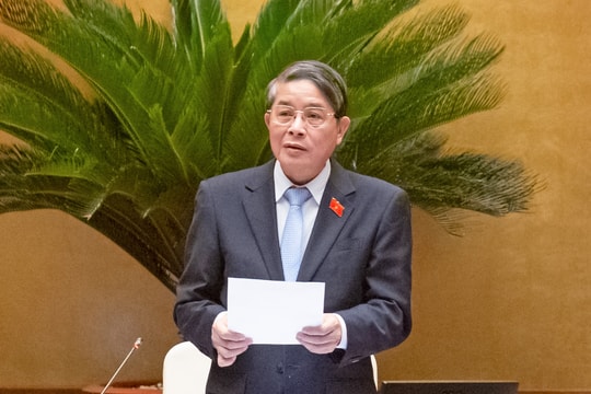 Miễn thuế phải gắn với yêu cầu sử dụng đất nông nghiệp hiệu quả