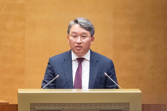 Không đề xuất điều chỉnh tăng mức tiền phạt vi phạm hành chính tối đa đối với bất kỳ lĩnh vực quản lý nhà nước nào