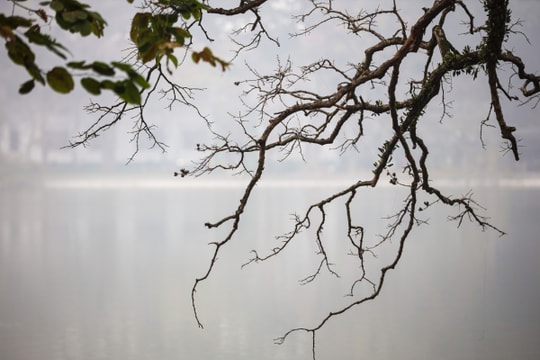 Dự báo thời tiết ngày 12/6: Ảnh hưởng bão số 1, nhiều khu vực có mưa