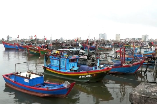 Quảng Bình: Hơn 6.300 tàu thuyền tránh trú bão số 1
