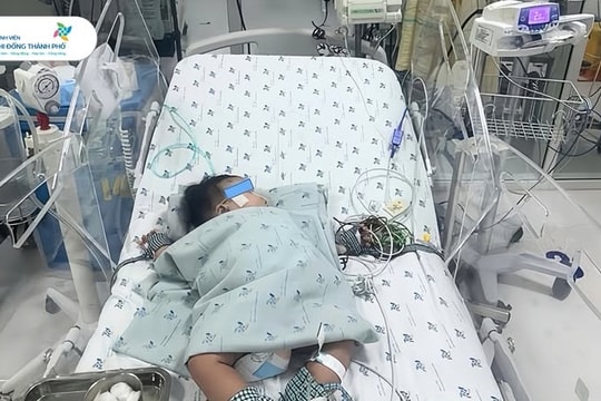 Ho sốt trong 3 ngày, bé gái 4 tháng tuổi sốc sốt xuất huyết