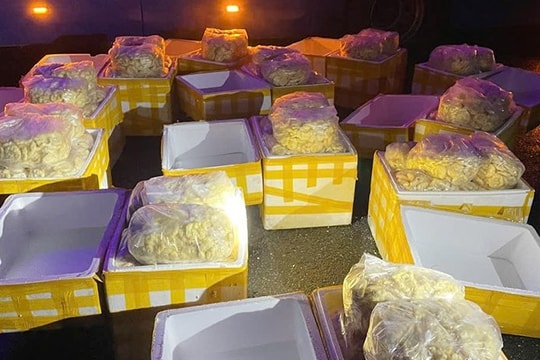 Hà Tĩnh: Thu giữ 240kg chả mực không rõ nguồn gốc