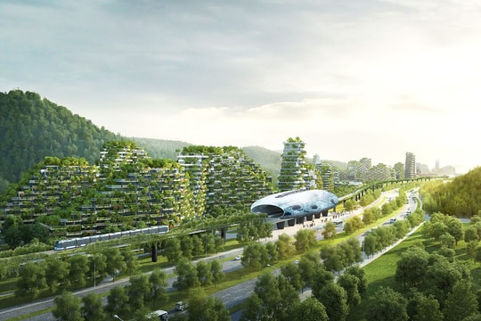 Mẫu số chung về chính sách