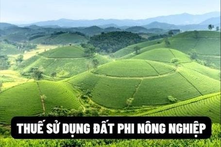 Hiệu quả thiết thực từ một phiên giải trình