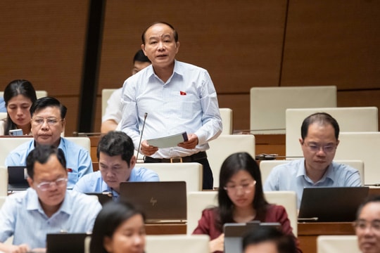 Định hình mô hình phát triển tiên phong, tạo giá trị lan tỏa