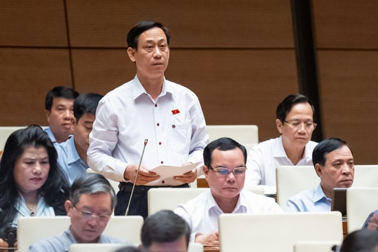 Có tầm nhìn xa rộng, khái quát