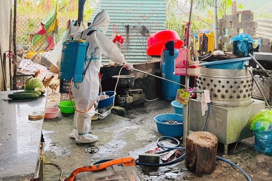 Bà Rịa – Vũng Tàu: Chủ động phòng, chống dịch bệnh mùa mưa bão