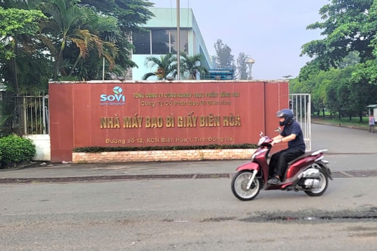 Đồng Nai: Xử phạt nhiều công ty hoạt động không có giấy phép môi trường