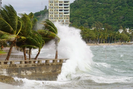 Bà Rịa – Vũng Tàu chủ động các phương án ứng phó thiên tai năm 2025