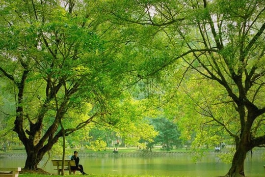 Dự báo thời tiết ngày 16/6: Bắc bộ giảm nhiệt kèm mưa cục bộ