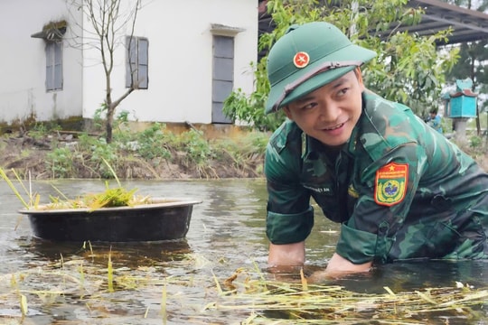 Quảng Trị: Bộ đội Biên phòng và Hải đội 202/Bộ Tư lệnh Vùng Cảnh sát biển 2 thu hoạch lúa giúp dân vùng lúa