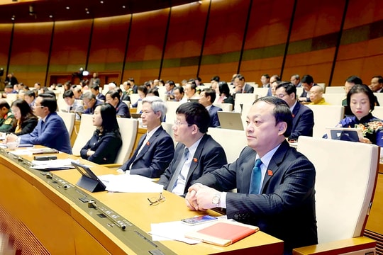 Tiếp tục rà soát văn bản quy phạm pháp luật về thuế, tiết kiệm chống lãng phí