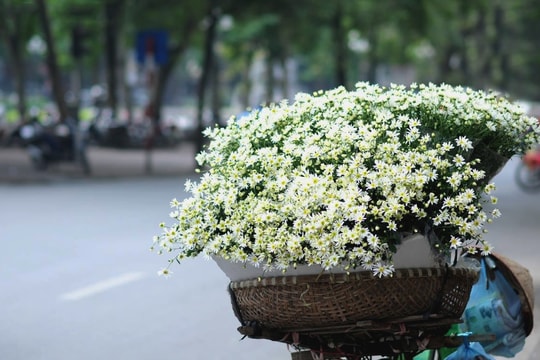 Dự báo thời tiết ngày 17/6: Hà Nội dịu mát, Trung Bộ oi bức