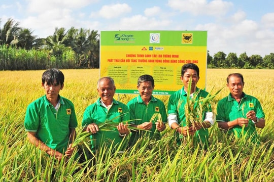 Dấu ấn từ những mô hình canh tác thông minh
