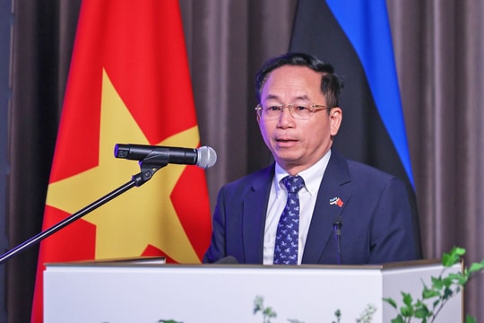 EVN sẵn sàng hợp tác về chuyển đổi số