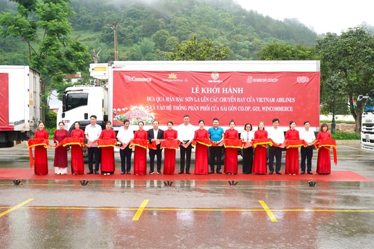 Vietnam Airlines đưa mận hậu Sơn La lên thực đơn trên không