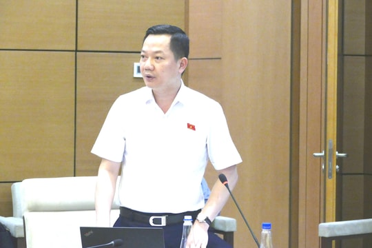 Bổ sung trường hợp giải trình từ yêu cầu đột xuất của thực tiễn