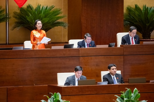 Bảo đảm công bằng trong tiếp cận giáo dục và chăm lo cho thế hệ trẻ