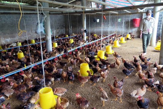 Giữ vững hiệu quả hoạt động