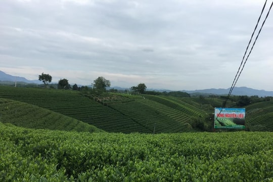 Những mô hình tiêu biểu tại huyện NTM nâng cao Đại Từ