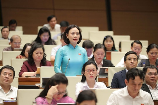 Xây dựng Chương trình quốc gia về phát triển nhân lực phục vụ chuyển đổi số