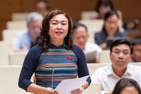 ĐBQH Đặng Bích Ngọc (Hòa Bình): Chống lãng phí để tạo nguồn lực phát triển