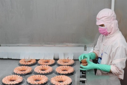 Shrimp industry's 'green revolution' positions Australia as strategic market