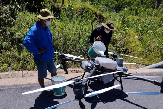 Quảng Bình: Diệt đàn châu chấu bất thường bằng máy bay không người lái