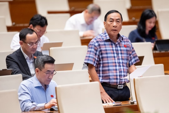 Phòng, chống hàng giả, gian lận thương mại cần nâng tầm chiến lược quốc gia