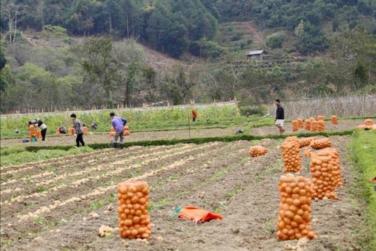 Bắc Kạn hướng đến ổn định dân cư, tạo sinh kế lâu dài