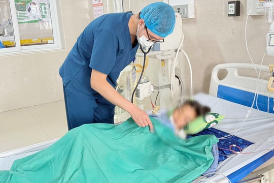 Bị rắn cạp nia chui từ điều hòa ra cắn bé gái suýt mất mạng