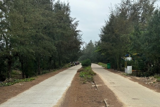 Hai giám đốc doanh nghiệp ở Quảng Ngãi bị cấm đi khỏi nơi cư trú do liên quan sai phạm dự án đường ven biển