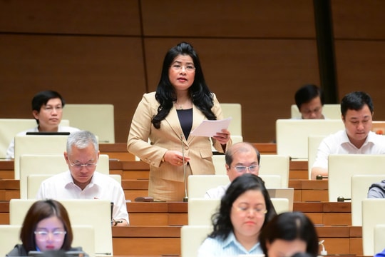 Bảo đảm tính pháp lý cho các chính sách đặc thù