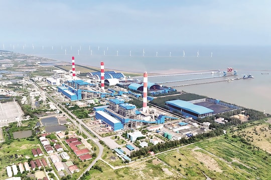 Công ty Nhiệt điện Duyên Hải gắn sản xuất kinh doanh với bảo vệ môi trường