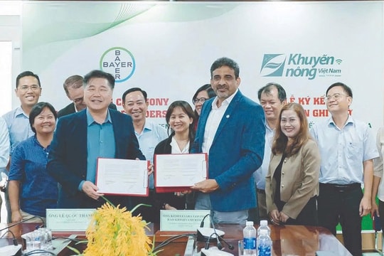 Bayer Việt Nam thúc đẩy đổi mới trong 3 lĩnh vực cốt lõi