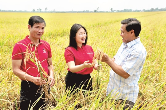 Agribank tiếp lửa “nông nghiệp cao - xanh - sạch”!