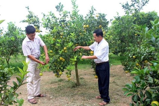 Thành phố Phổ Yên đẩy nhanh xây dựng nông thôn mới nâng cao