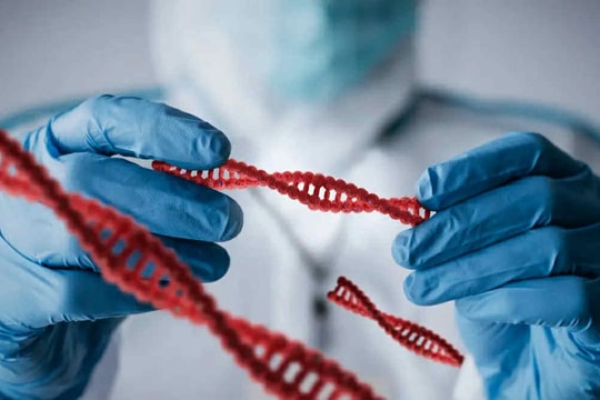 Phát hiện người phụ nữ mang nhóm máu mới độc nhất vô nhị trên thế giới