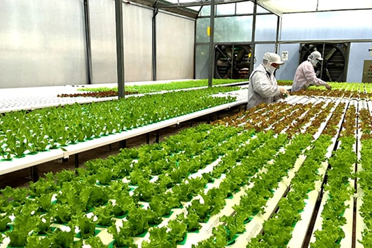 Bổ sung chính sách tín dụng khuyến khích nông nghiệp hữu cơ, tuần hoàn