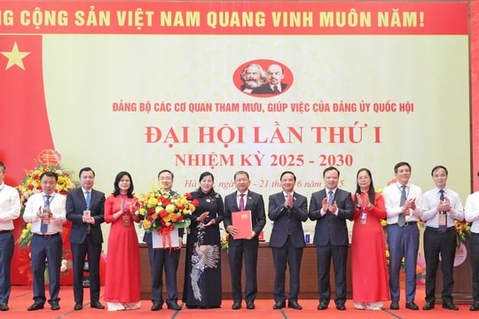 Phát huy vai trò trung tâm tham mưu, xây dựng Đảng bộ thực sự trong sạch, vững mạnh