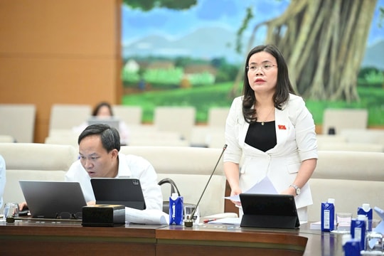 Hoàn thiện mô hình tổ chức bộ máy tinh gọn, thống nhất, hiệu năng, hiệu quả