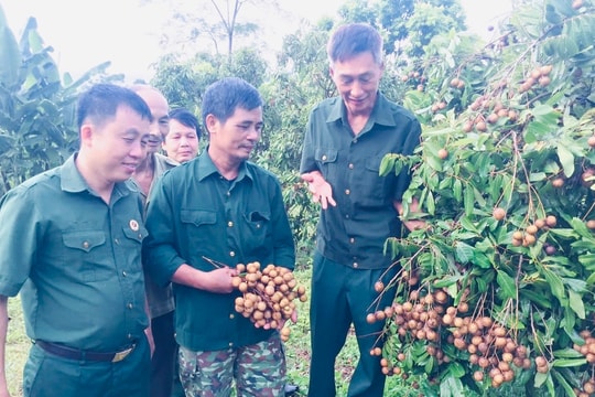 Phát huy sức mạnh của những "cánh tay nối dài"