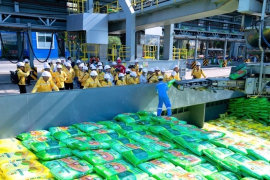 Giá phân bón ổn định dù nguyên liệu nhập khẩu tăng