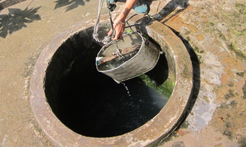 Ăn ghẹ và cải bó xôi nấu bằng nước giếng, bé gái 16 tháng tuổi tím tái toàn thân