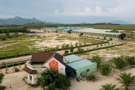 Bình Thuận: Công ty Cổ phần Môi trường xanh Pedaco được cấp giấy phép môi trường như thế nào?