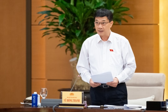 Tạo nền tảng phát triển toàn diện trẻ em về thể chất, tình cảm, trí tuệ, thẩm mỹ